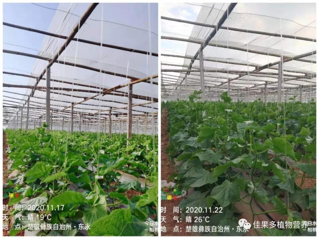 微信图片_20201201143910.jpg