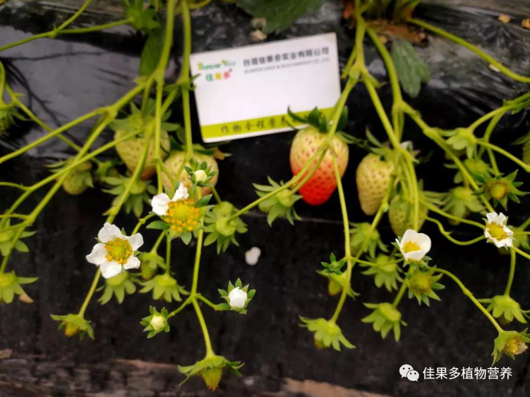 微信图片_20210107103750.jpg