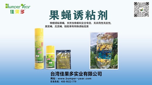 果蝇诱粘剂小.jpg