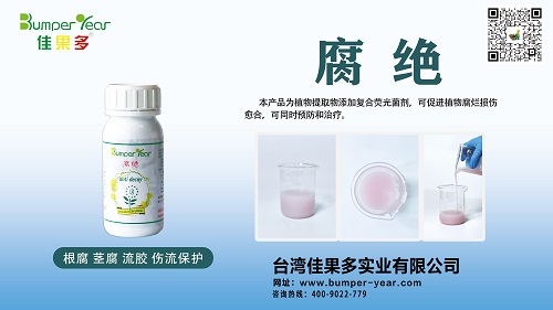 腐绝小.jpg