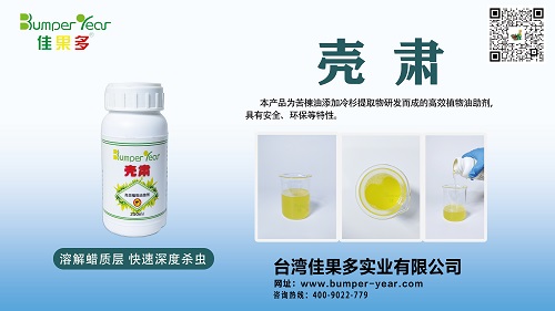 壳肃小.jpg