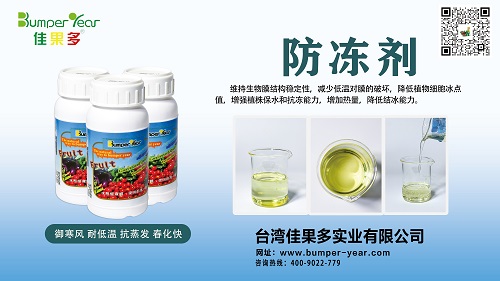 防冻剂小.jpg