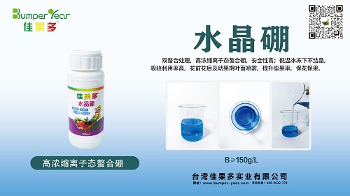 水晶硼小.jpg