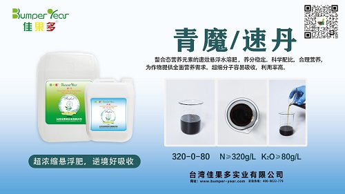 速丹小.jpg