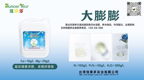 大膨膨小.jpg