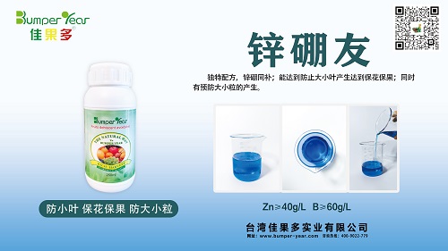 锌硼友小.jpg