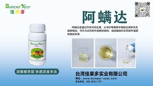 阿螨达小.jpg